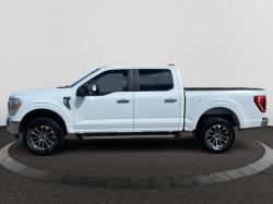 2023 Ford F 150