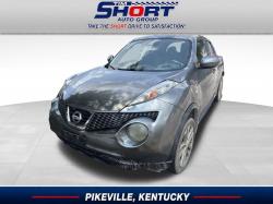 2013 Nissan Juke