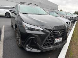 2023 Lexus NX