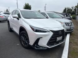 2024 Lexus NX