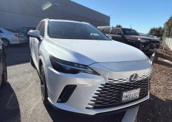 2024 Lexus RX