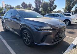 2023 Lexus RX