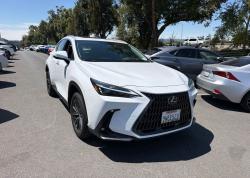 2026 Lexus NX