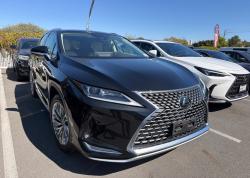 2020 Lexus RX