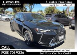 2020 Lexus UX