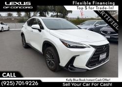 2025 Lexus NX