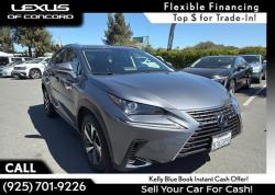 2020 Lexus NX