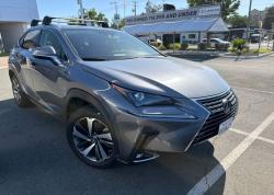 2020 Lexus NX