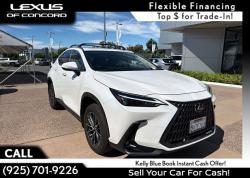2025 Lexus NX