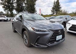 2026 Lexus NX