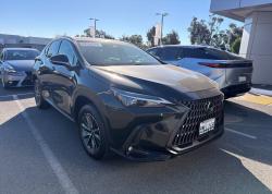 2025 Lexus NX