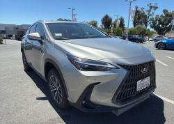 2025 Lexus NX