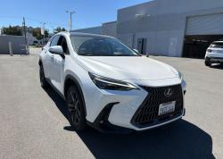 2025 Lexus NX