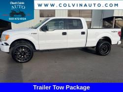 2013 Ford F 150