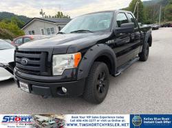 2010 Ford F 150