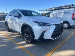 2024 Lexus NX