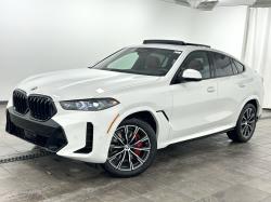 2026 BMW X6