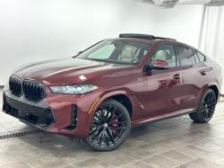 2026 BMW X6