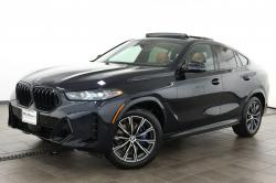2024 BMW X6
