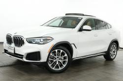2023 BMW X6