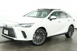 2024 Lexus RX