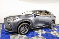 2025 Lexus NX