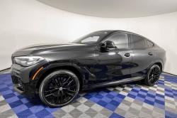 2022 BMW X6