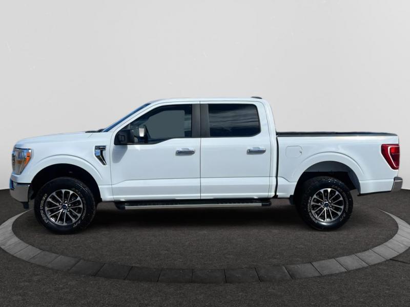 2023 Ford F 150 XLT
